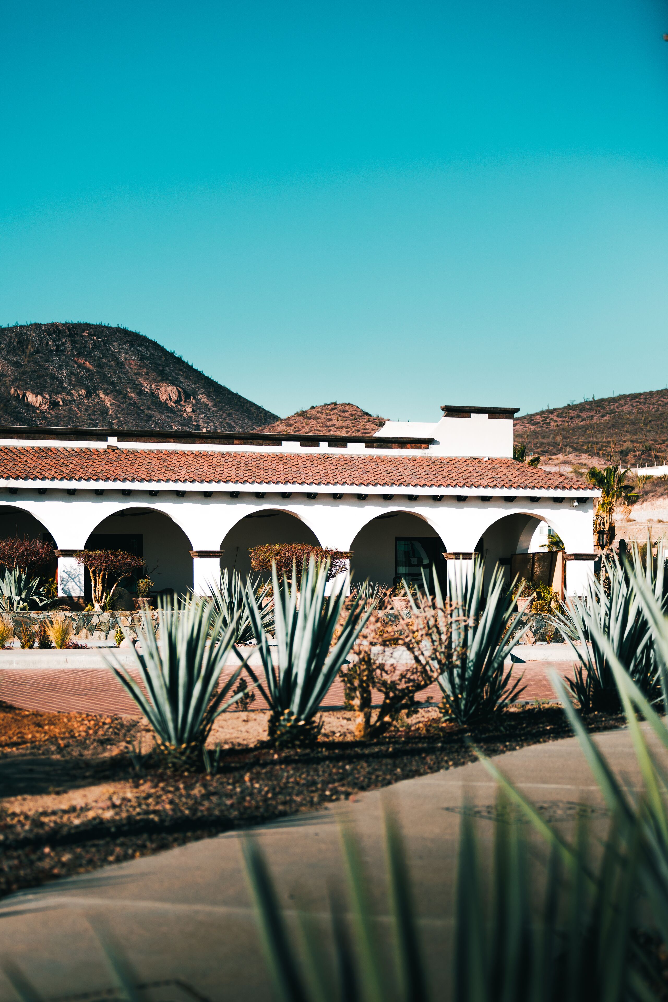 Foto - Orchid House Baja