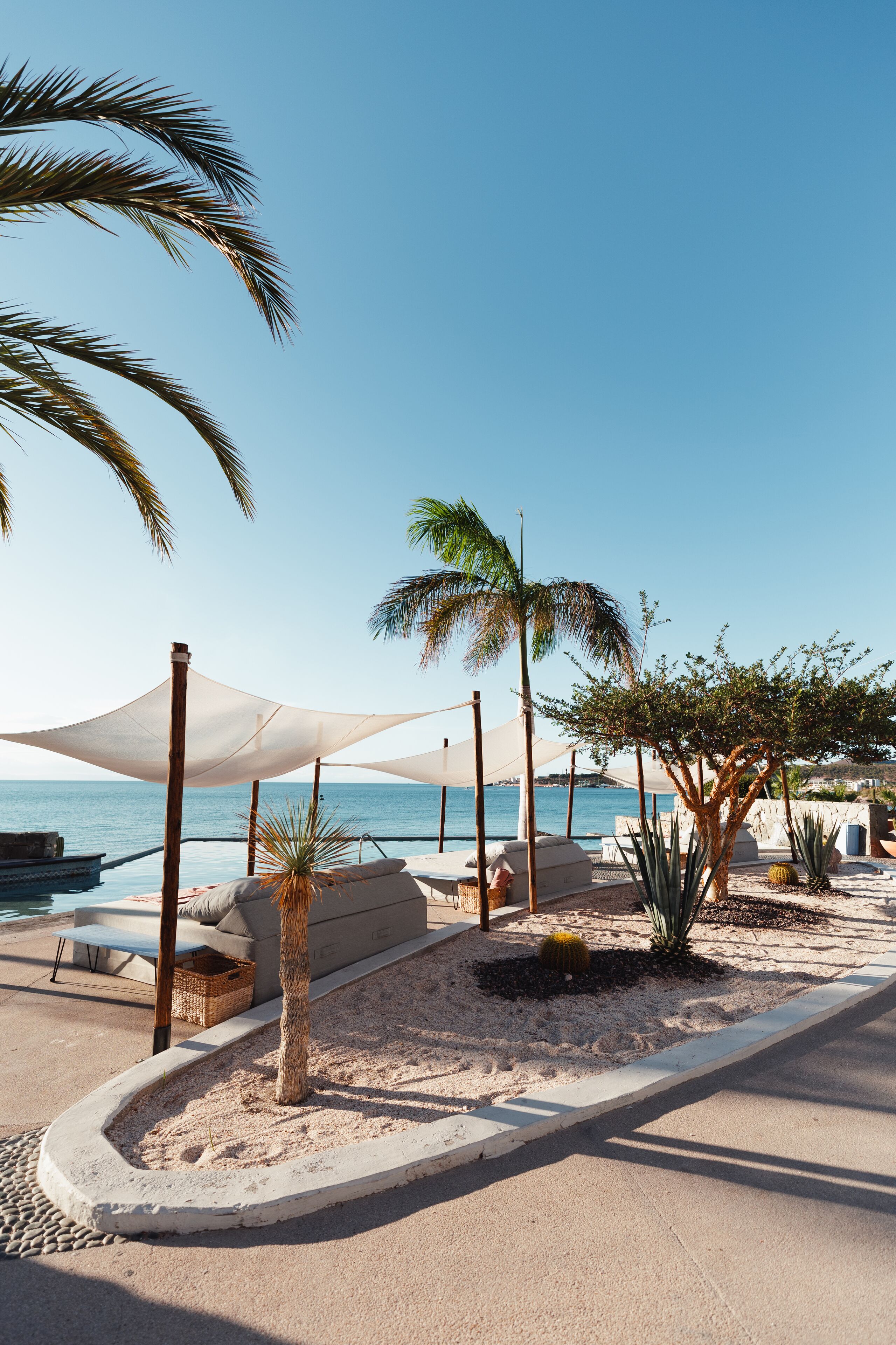 Foto - Orchid House Baja