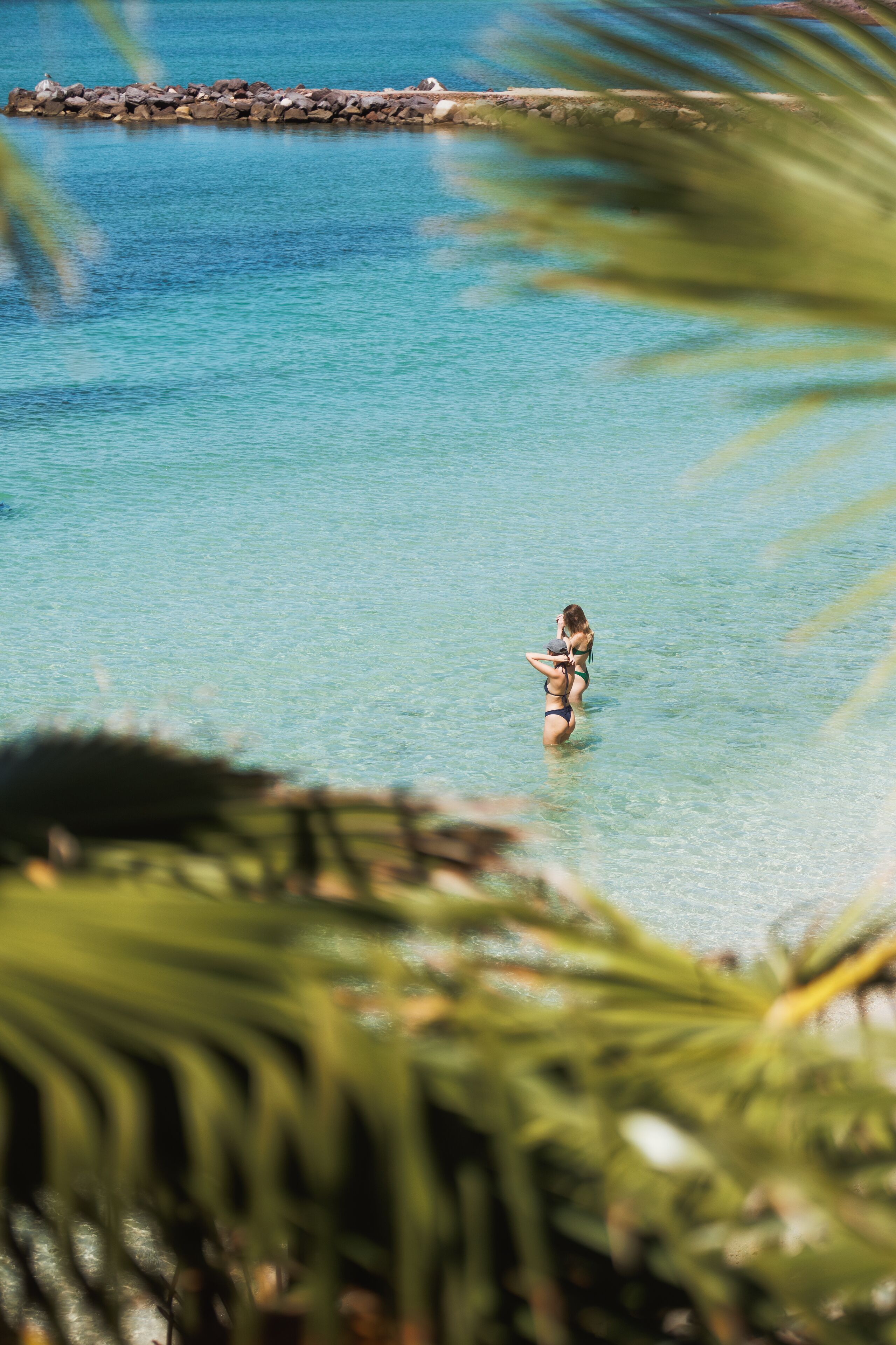 Foto - Orchid House Baja