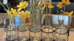 Una cocina con gabinetes grises, un horno negro y un lavamanos de acero inoxidable. Hay seis jarrones de vidrio con flores amarillas sobre la encimera.