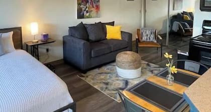 Modern Downtown Studio living! Walker’s paradise!