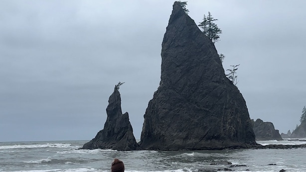 Hiking - Olympic Glamping (Port Angeles)