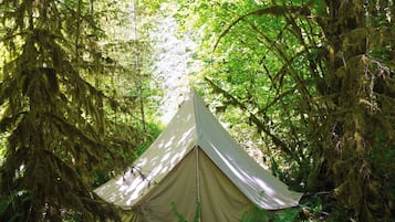 Ein Zelt in einem Wald mit dichtem Blätterwerk und Bäumen.
