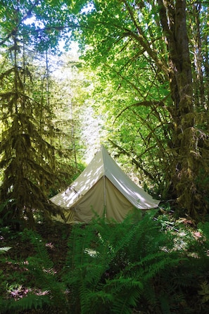 A tent set up in a forest with dense foliage and trees. - Olympic Glamping (Port Angeles)
