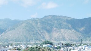 外觀