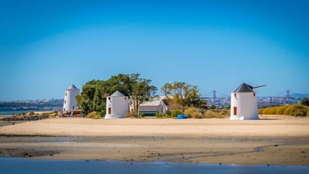 Three white lighthouse structures on a sandy beach with a clear blue sky and a bridge in the background.
