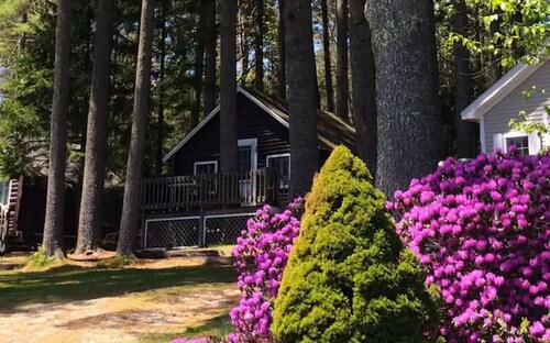 Pine Grove Cottages : Cottage 5 - Studio Cottage - Pet Friendly