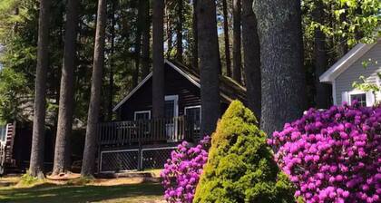 Pine Grove Cottages : Cottage 5 - Studio Cottage - Pet Friendly