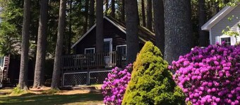 Pine Grove Cottages: Cottage 3: Studio Cottage - Pet Friendly