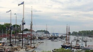 A marina with multiple boats docked, surrounded by buildings and greenery.