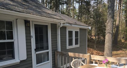 Pine Grove Cottages: Cottage 9 - Pet Friendly