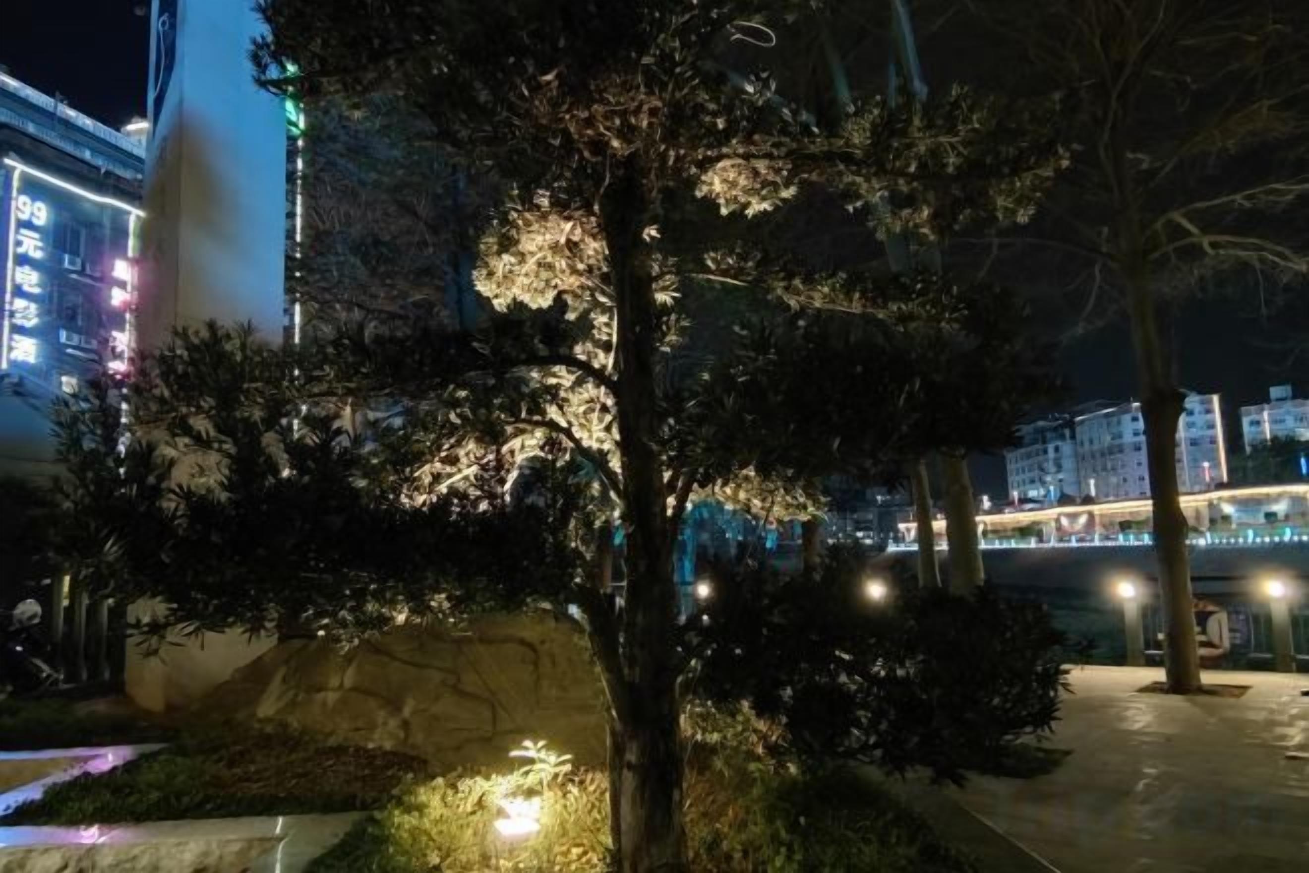 Une vue nocturne d’un parc, avec des arbres et un pont en arrière-plan.
