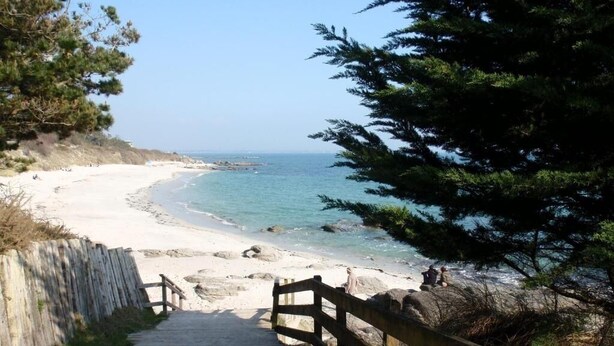 Un sendero de madera que lleva a una playa, con una valla de madera a un lado.