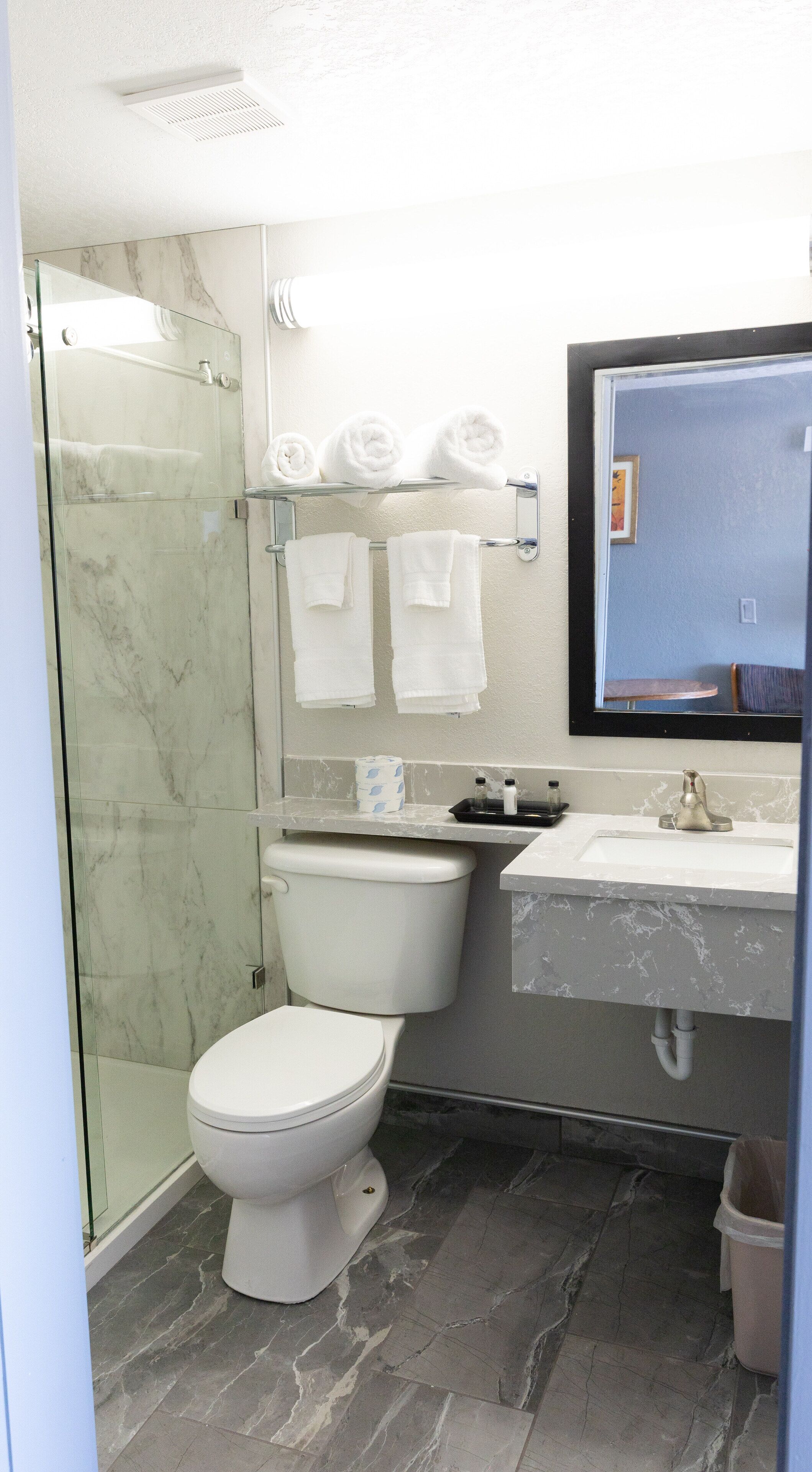A modern bathroom with a glass shower enclosure, a toilet, a sink with a marble countertop, and a mirror above the sink.