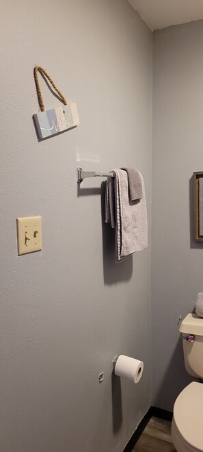 Shower, towels, soap, toilet paper