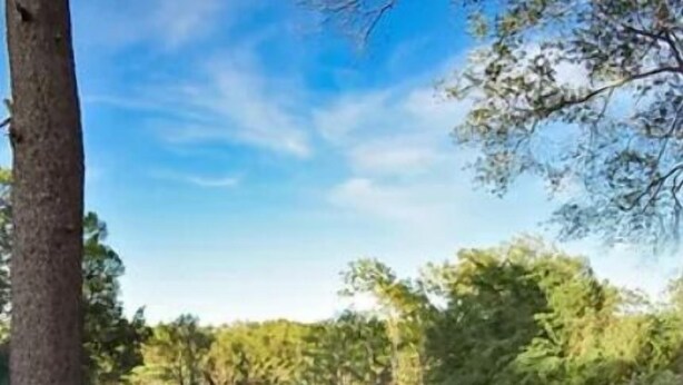 A wooden deck with picnic tables overlooking a golf course. - #18 The LeeSort (Karnack)