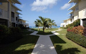 Property grounds - 7 Mile Beach Hidden Gem!  (Seven Mile Beach)