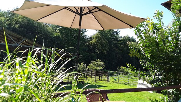 A patio area with a table and chairs, a large umbrella, and a view of a grassy yard and trees. - Quiet Barn Loft at Rock'n'Rose (Morganton)