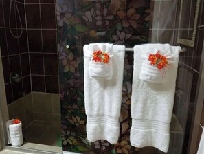 Ensemble douche/baignoire