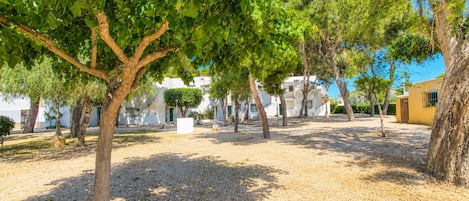 A courtyard with trees, a white building, and a yellow building.