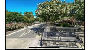 Un banco de parque con estructura metálica y respaldo, rodeado de árboles y un cielo azul despejado.