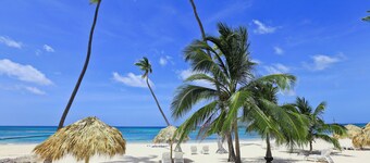 Playa Turquesa I-202 Premier Beachfront Ocean View 85 mbps wifi