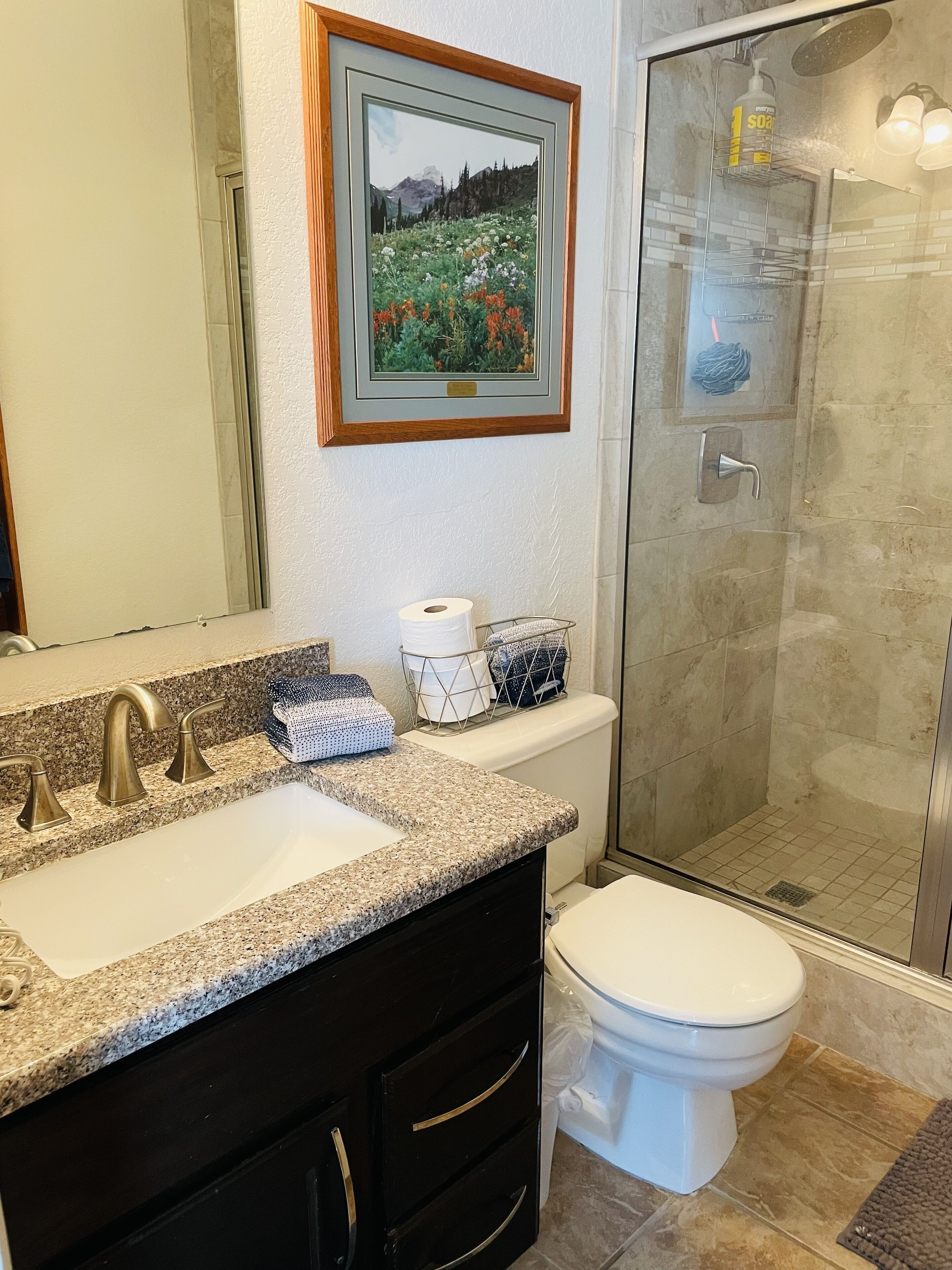 Regadera, secadora de cabello, toallas, jabón 