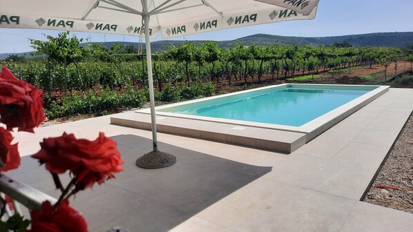 Une piscine avec un vignoble en arrière-plan.