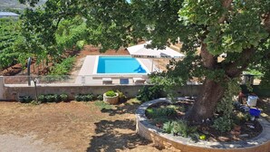 A swimming pool surrounded by a landscaped garden with a tree in the foreground. - NEW Holiday Apartment,A4+2, Family house - OPG Rudan, garden pool, terase, wi-fi (Radonić)
