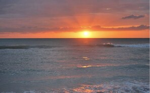 بالقرب من الشاطئ، كراسي للتشمس، مناشف للشاطئ