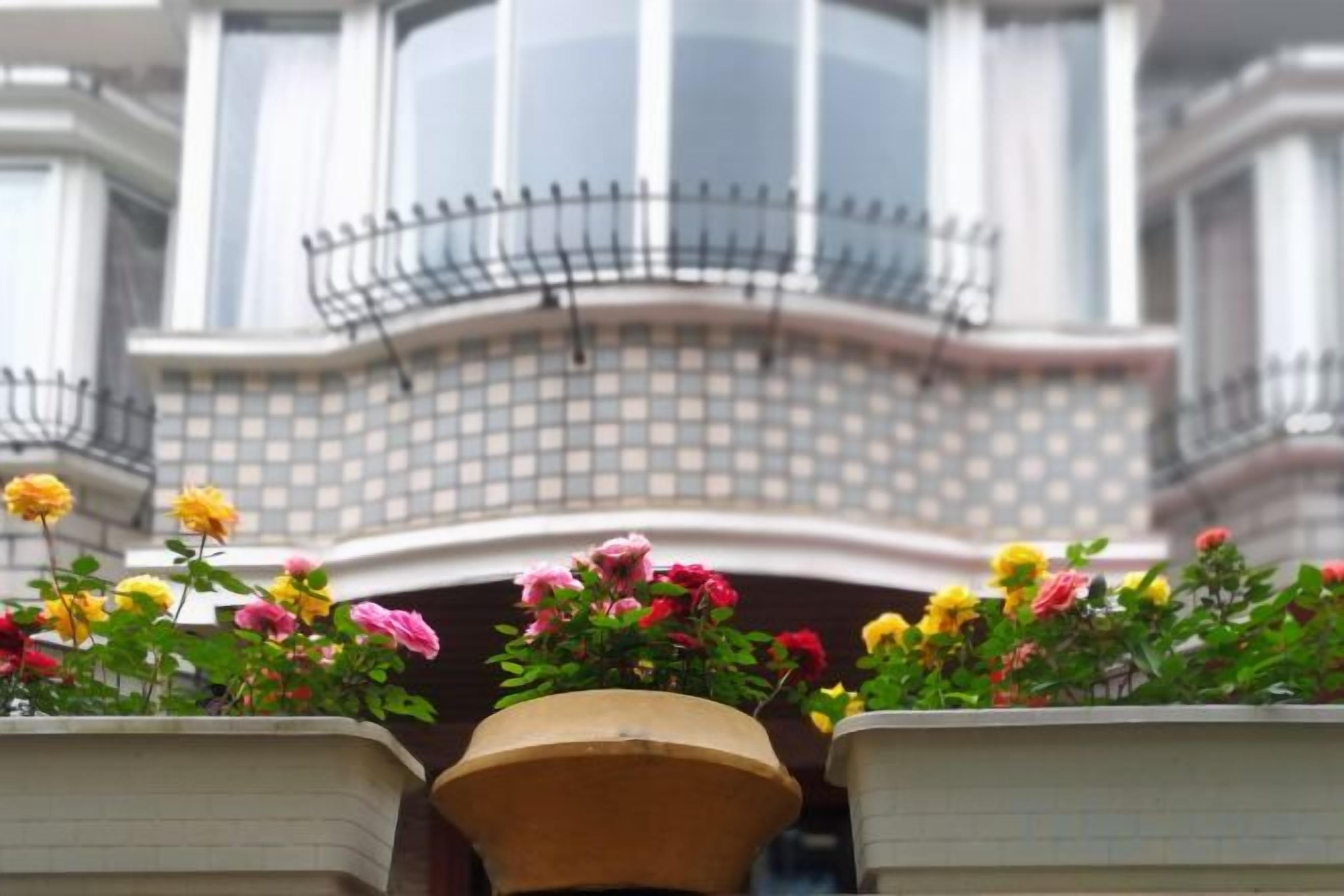 Ein Gebäudefassaden mit Balkon und Blumentöpfen im Vordergrund.
