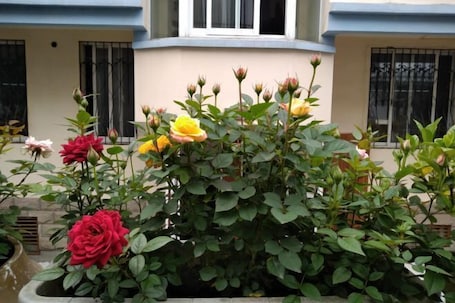 Áreas de la propiedad. Awuka Guesthouse