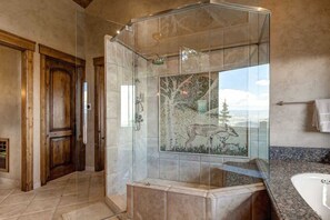 Combined shower/tub, hair dryer, shampoo