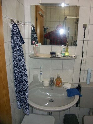 Dusche, Haartrockner, Handtücher
