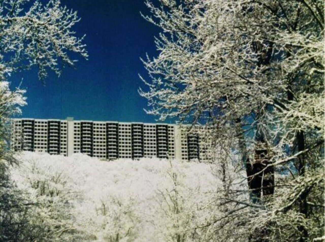 A high-rise building with multiple floors, surrounded by snow-covered trees.