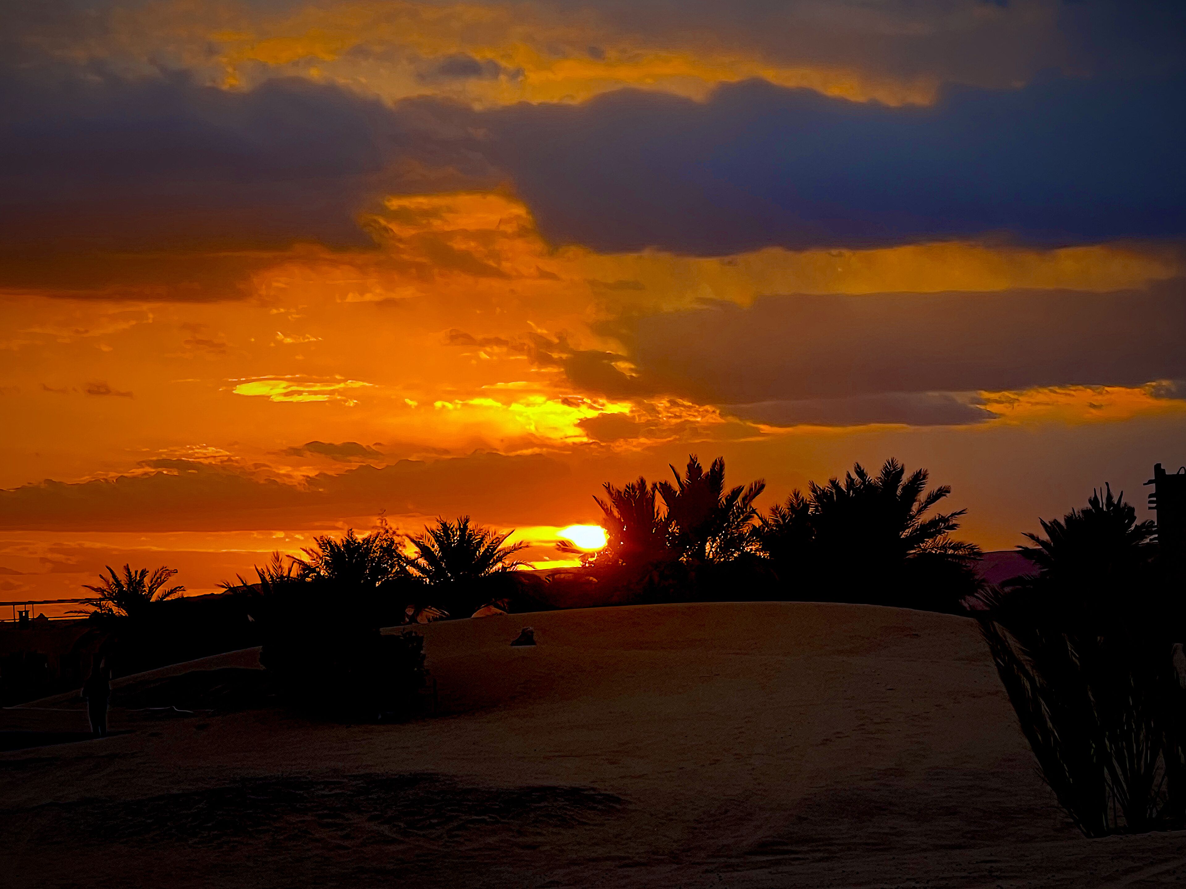 Foto - Riad Abqari Youssefi