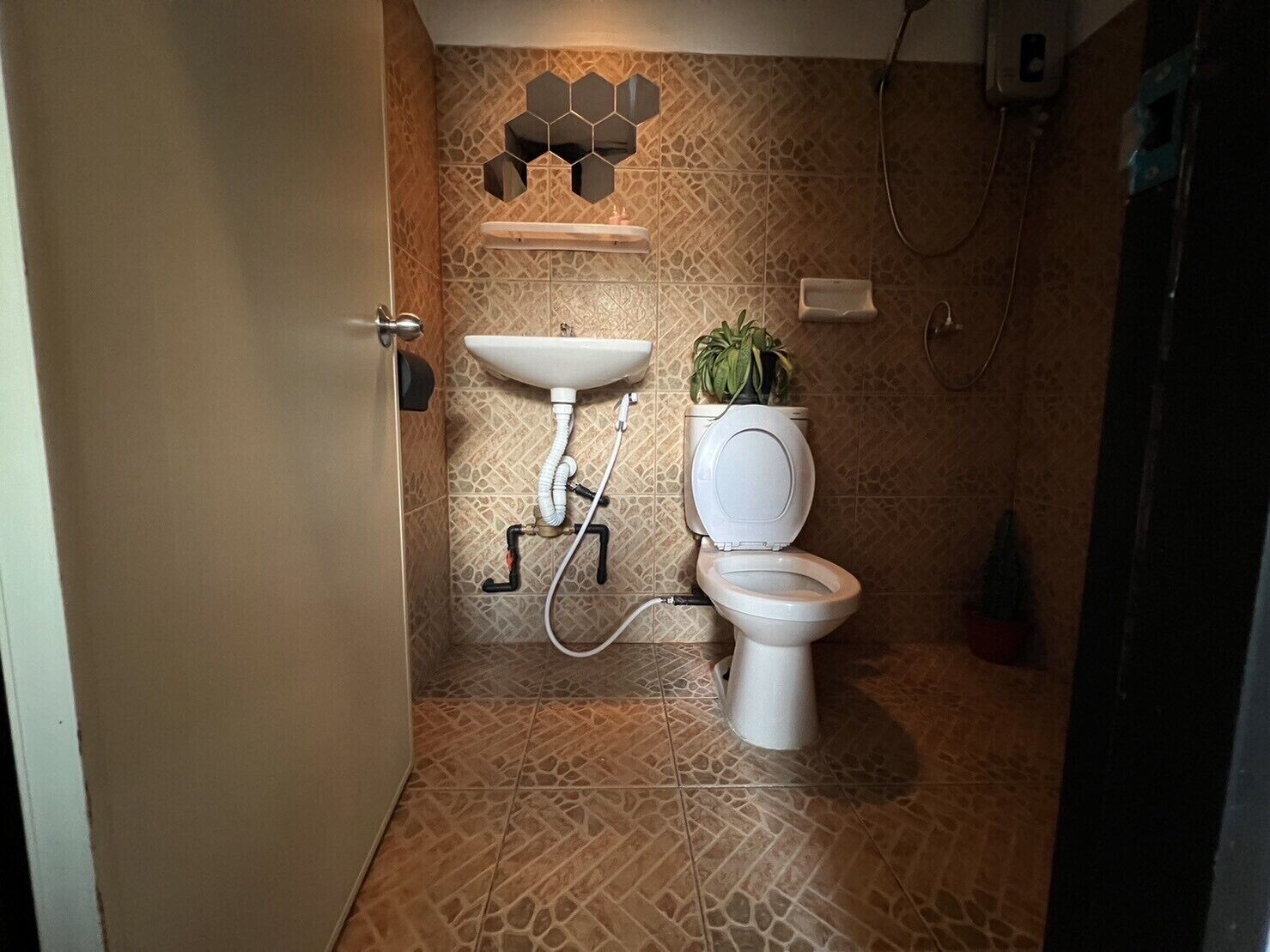 A bathroom with a white toilet, a sink, and a shower.