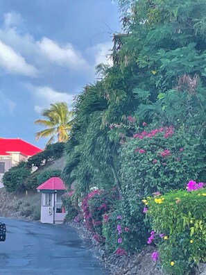 Property grounds - Elegant Harbor View Condo Get-A-Way @ Schooner Bay  (Christiansted)