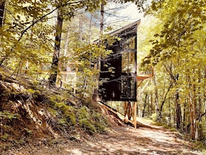 Une zone boisée avec une structure en bois qui ressemble à un chalet ou à un refuge.