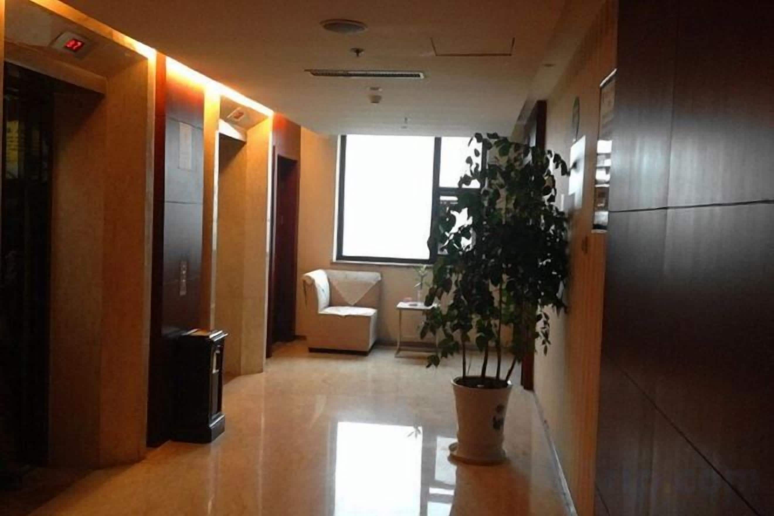 A hallway with a potted plant, a chair, and a trash bin.