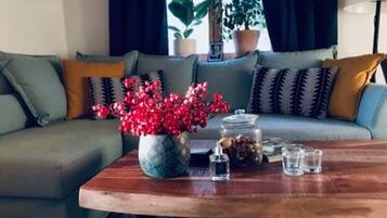 TV, fireplace, stereo