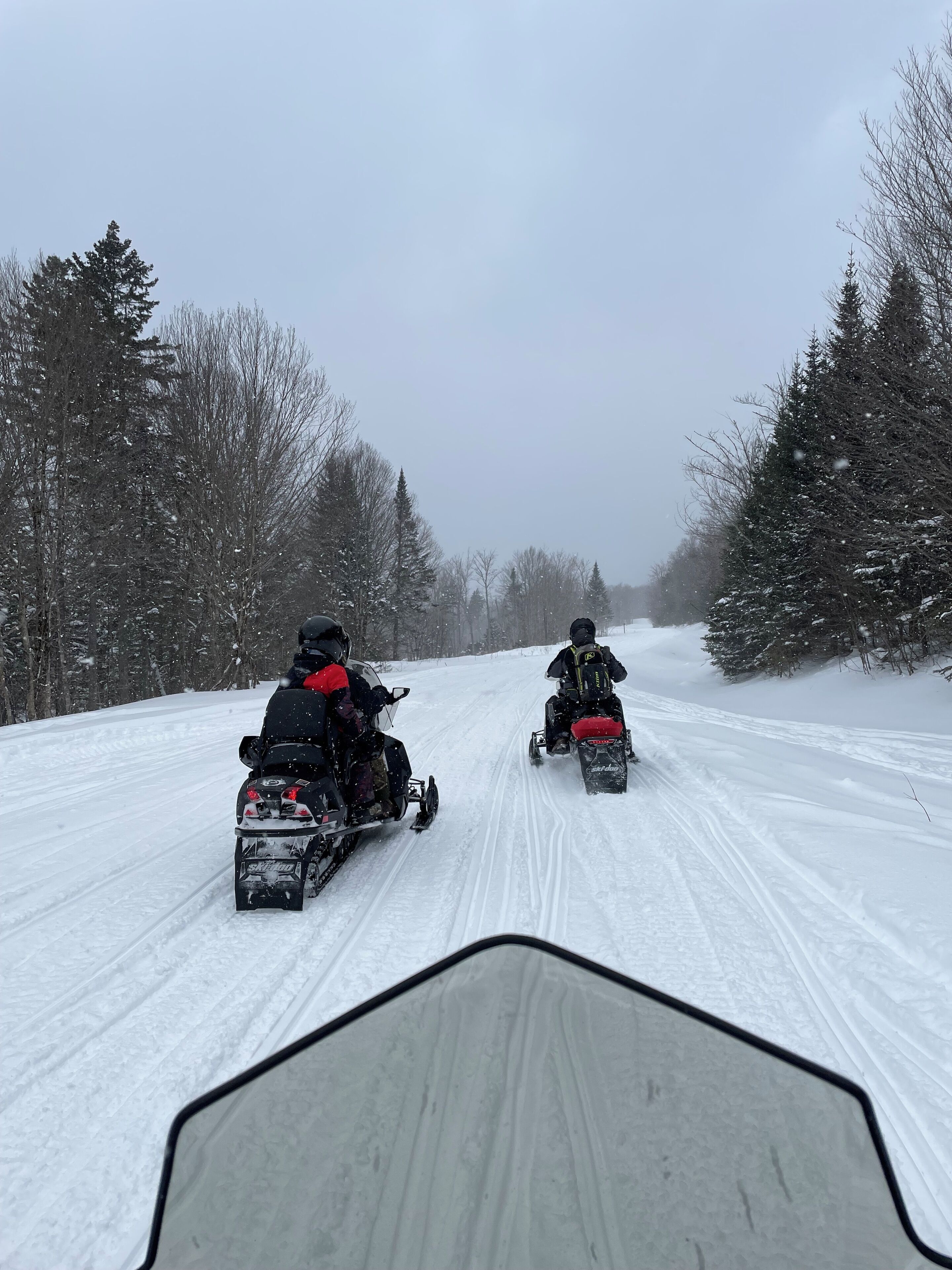 Twee sneeuwscooters op een besneeuwde weg, omringd door bomen aan weerszijden.