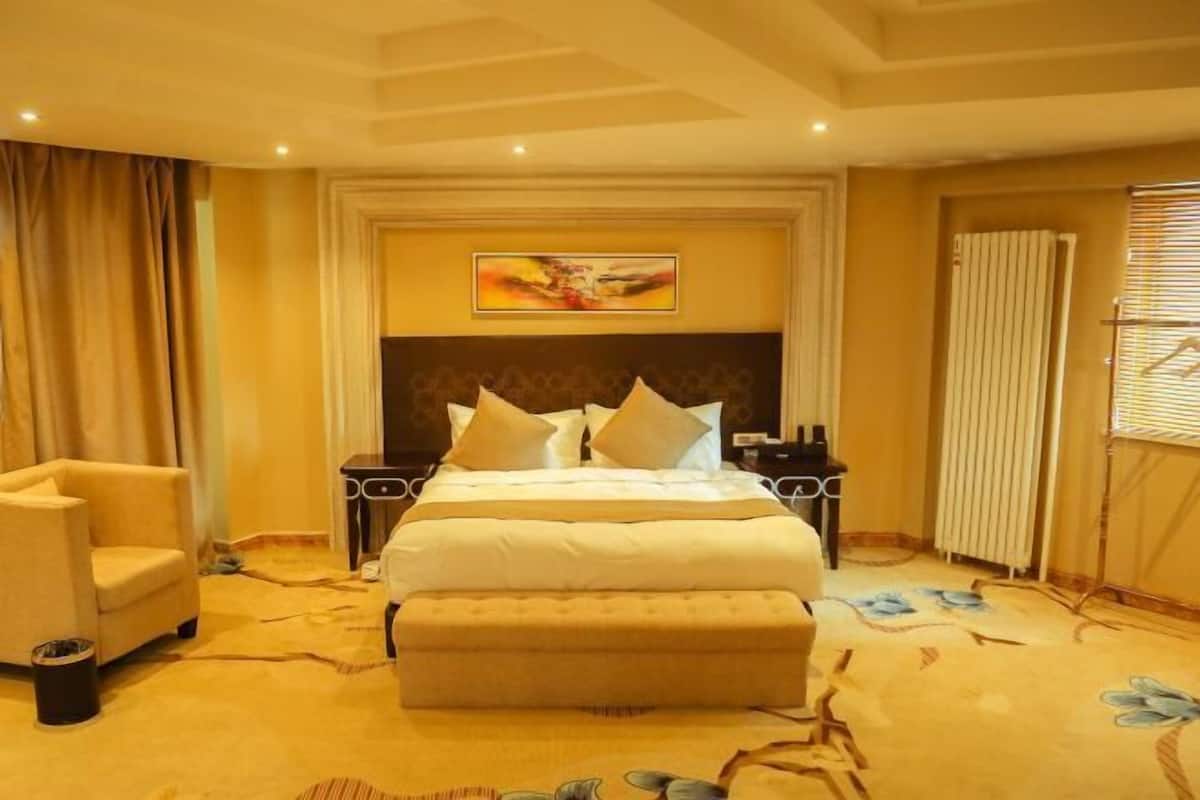 A hotel room with a large bed, a bedside table, a chair, and a radiator.