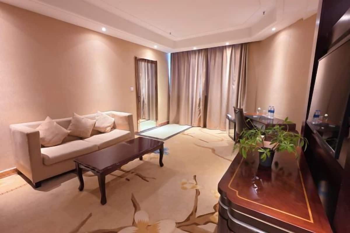 A hotel room with a sofa, a coffee table, a TV, a plant, and a view of the outside.