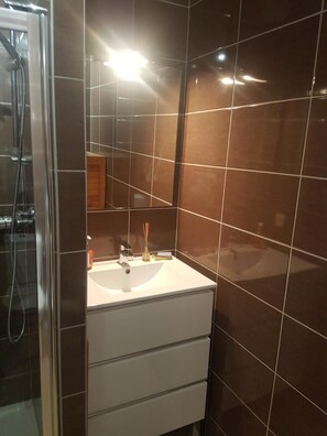 Shower, hair dryer, toilet paper