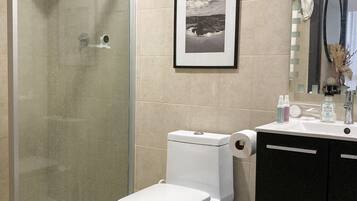 Chuveiro, secador de cabelo, toalhas de banho, sabonete