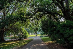 Stroll through lush greenery along a well-maintained pathway, surrounded by mature trees and a tranquil atmosphere.