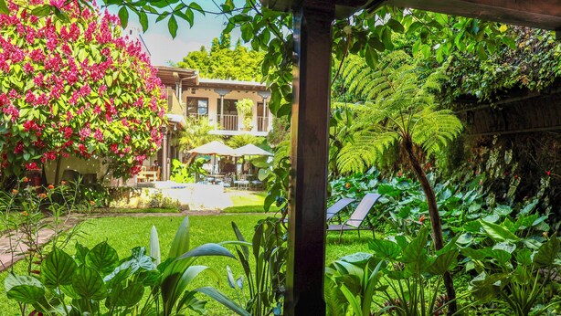 Un jardin luxuriant, avec une grande variété de plantes, et un bâtiment en arrière-plan.
