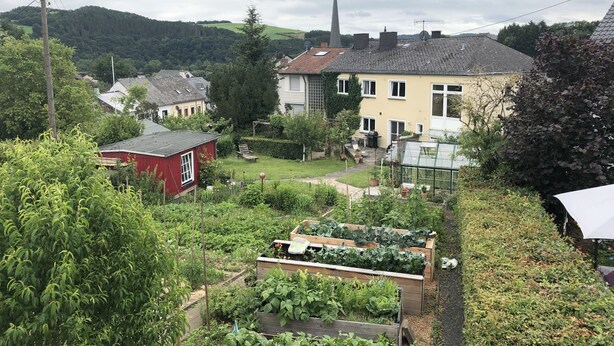 Un quartier résidentiel où se trouve une maison dotée d’un jardin avec des plates-bandes surélevées et d’un petit abri de jardin rouge.