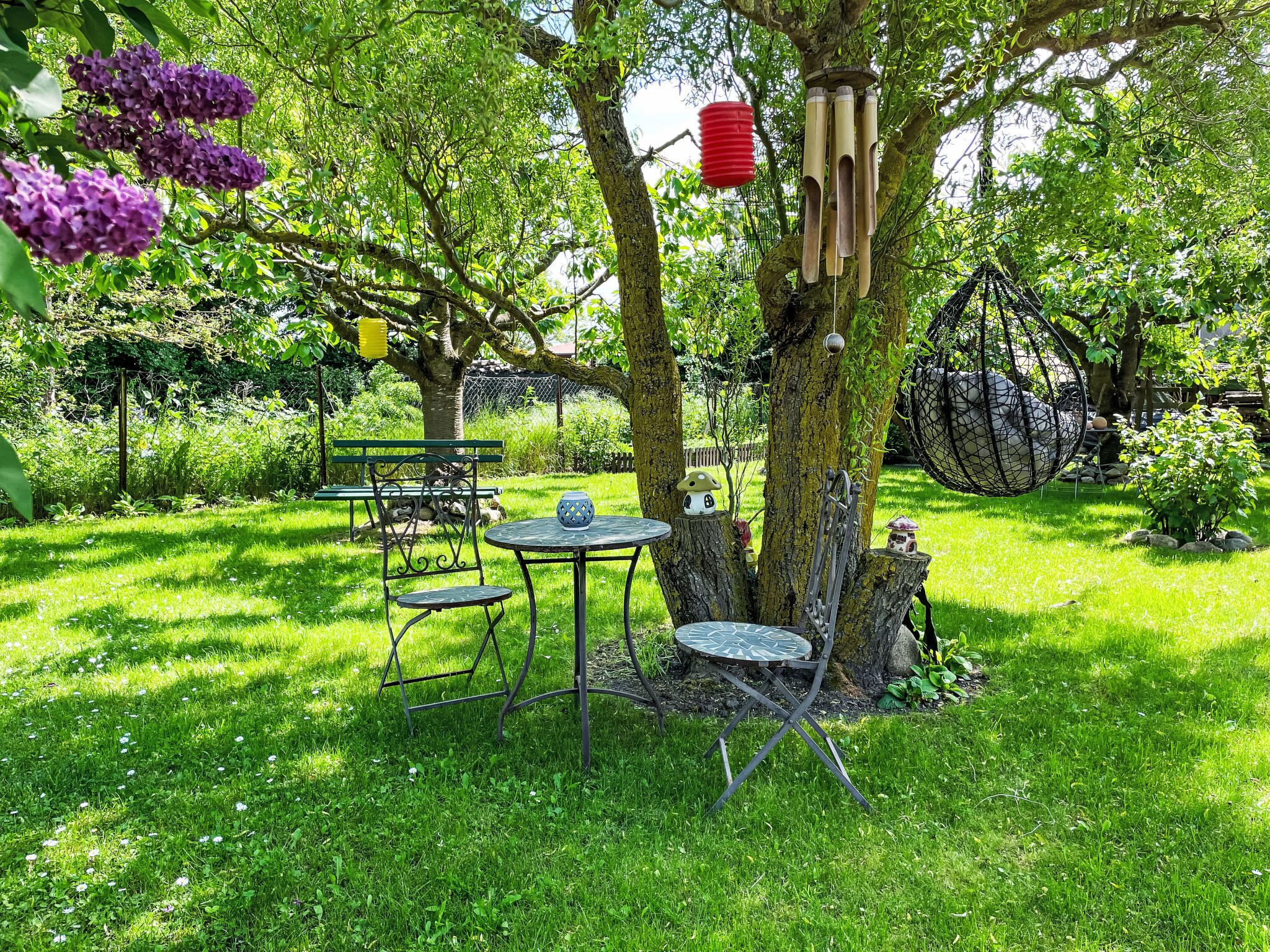 Un jardin avec un arbre, une balançoire et une table entourée de chaises.